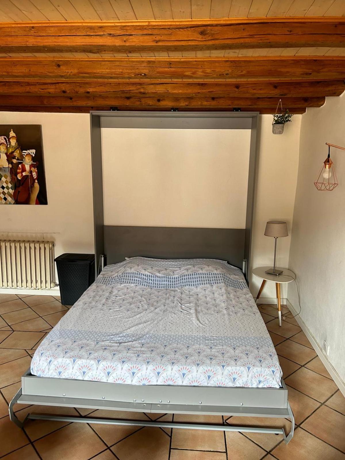 Le Republique Annecy , Coeur De Vieille Ville Ngoại thất bức ảnh